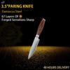 Kitchen Knife 67 Layers Damascus Steel Santoku Knife Slicing Utility Paring Bone Cutter Steel Razor Sharp Blade Colorful Wood