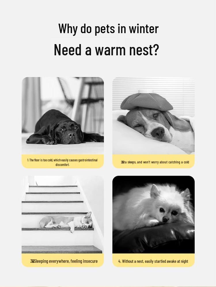 Cozy All-Season Dog & Cat Bed: Warm, Removable, Washable Cushion