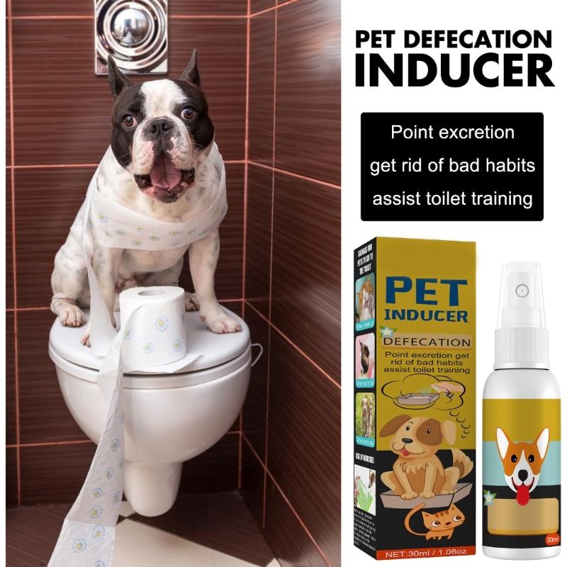 Pet Go Here Potty Training Crap Spot Trainer for Pet Safety Designated Toilet Training Pet Excretion