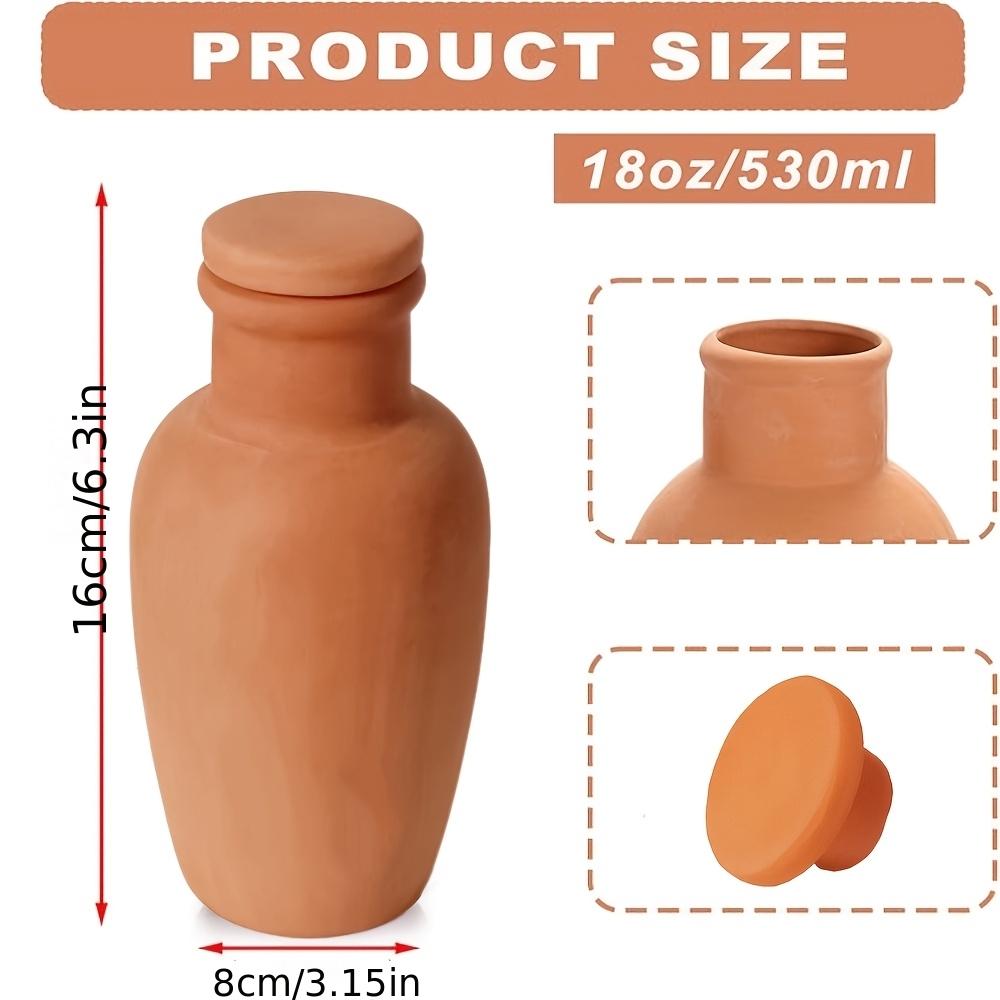 Self-Watering Clay Spike Planter With Lid 18Oz Plant Watering Ball Ceramic Plant Waterer Spike For Indoor Vacation Self-Watering
