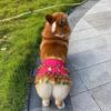 Dog Dance Costume Corgi Waist Chain Butt Curtain Clothes Pet Sequin Belly