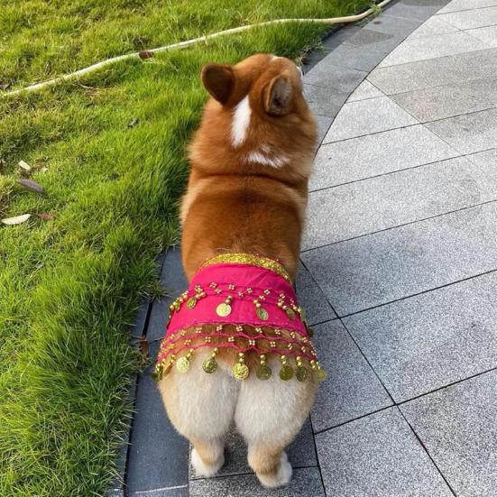 Dog Dance Costume Corgi Waist Chain Butt Curtain Clothes Pet Sequin Belly