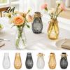 Clear Bud Vase Decorative Flower Vase, Transparent Glass Style Holder for Home Amber Decor, Modern Thickened Floral Container Fresh And Dried Flowers