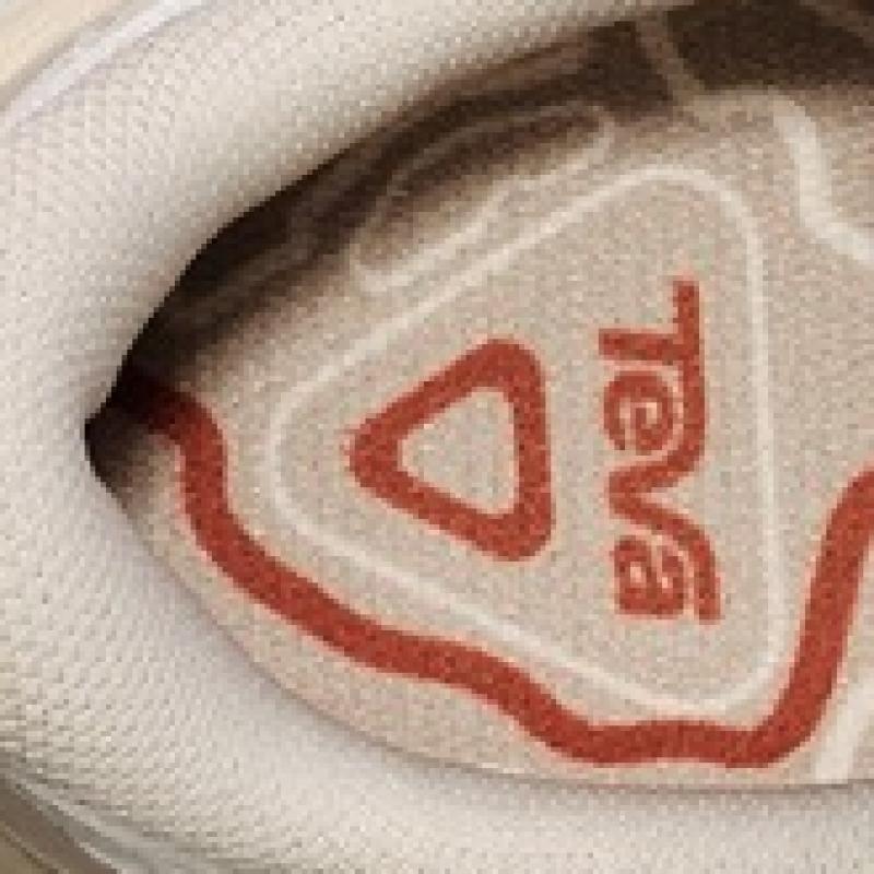 Teva Women Trailwinder Low Hiking Shoes Stvf2435992 Bch