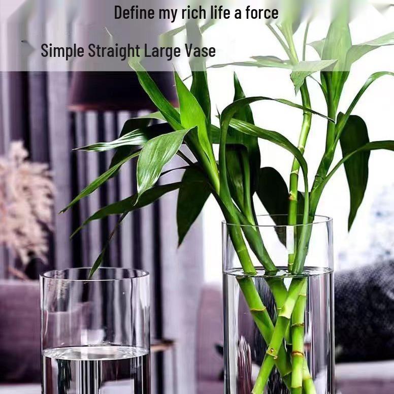 Acrylic Drop-Proof Transparent Cylinder Vase for Flower Arrangements