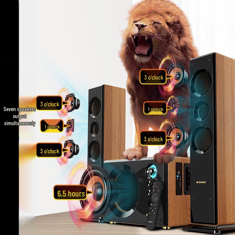 Sansui Home Theater Karaoke Sound System