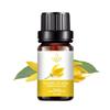Rose Essential Oil - 10ML Aromatherapy Perfume Oil with 27 Fragrances