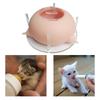 Pet Self and Feeding Device Nursing Station Silicone 3 Nipples Milk Bowl Pet