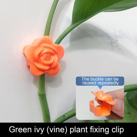 10Pcs Plant Climbing Wall Fixture Clip Self-Adhesive Climbing Vine Fixing Hook Traction