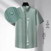 Men's Summer Plus Size Seamless Striped Short Sleeve Shirt