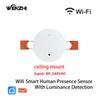 ZigBee Wifi MmWave Menschliche Anwesenheit Bewegungssensor Mit Helligkeits-/Entfernungsdetektion 5/110/220V Tuya Smart Life Hausautomation
