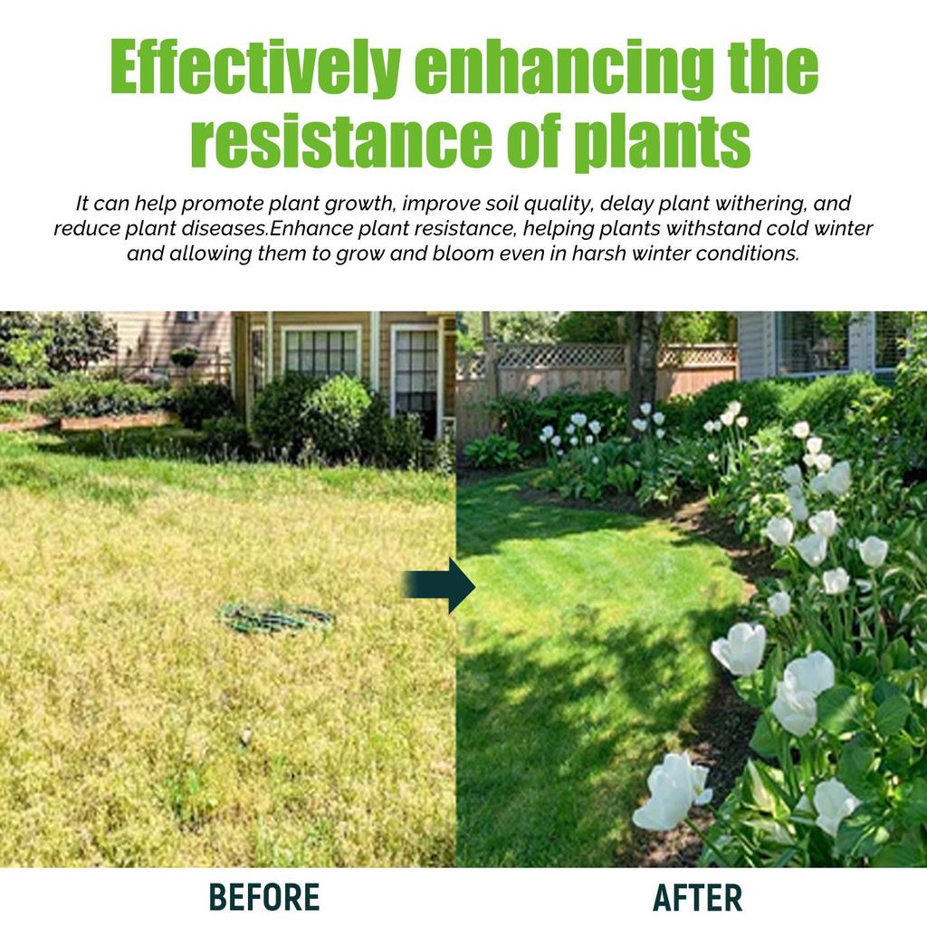 100ML Plant Nutrient Solution, Yellowing And Falling Leaves Of Flowers And Lawns, Universal Plant Seedling Strengthening Nutrient Fertilizer