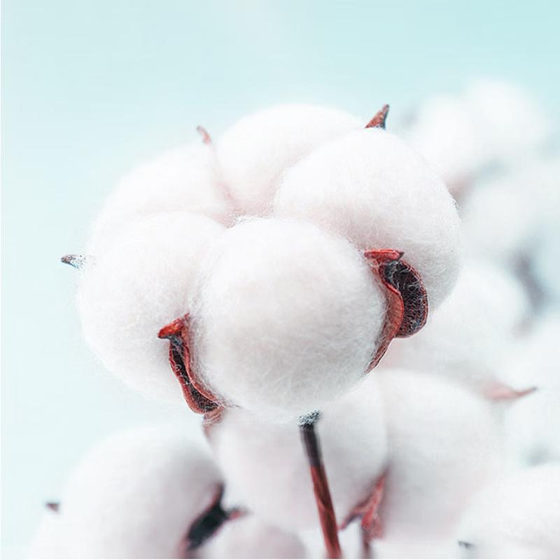Jingdong Zhizao Xinjiang Awalong Cotton Towel 5-Pack