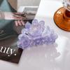 Resin Beautiful Acid Colorful Flower Hair Claw For Glamorous Updos And Elegance Everyday
