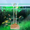 Acrylic Shrimp and Snails Feeding Dish for Aquarium Shrimp for Tank Crystal Pot
