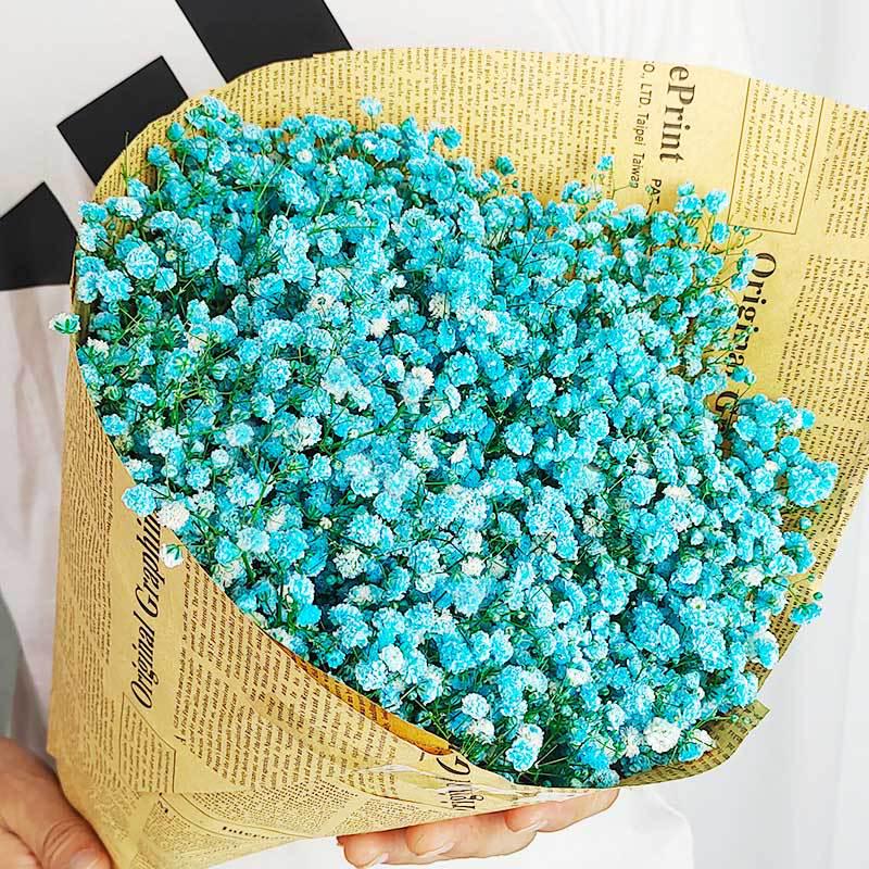 Baby's Breath Dried Flower Bouquet for Living Room Decor - Real Fresh Cut Flowers, Perfect for Gifting and Decorative Ornaments.