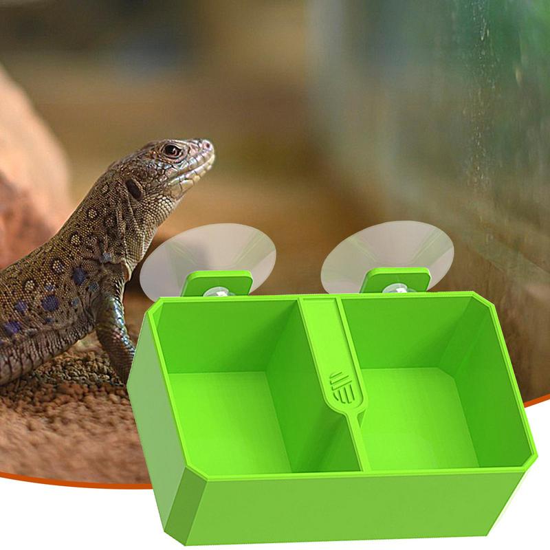 

Reptiles Suction Cup Feeder Detachable Suction Cup Reptile Feeding Dish Feeder 2 Grid Reptile Food Bowl Feeder Water Bowls For S