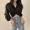 Hong Kong Retro V-Neck Slim Long Sleeve Shirt for Women - Spring Style Short Top