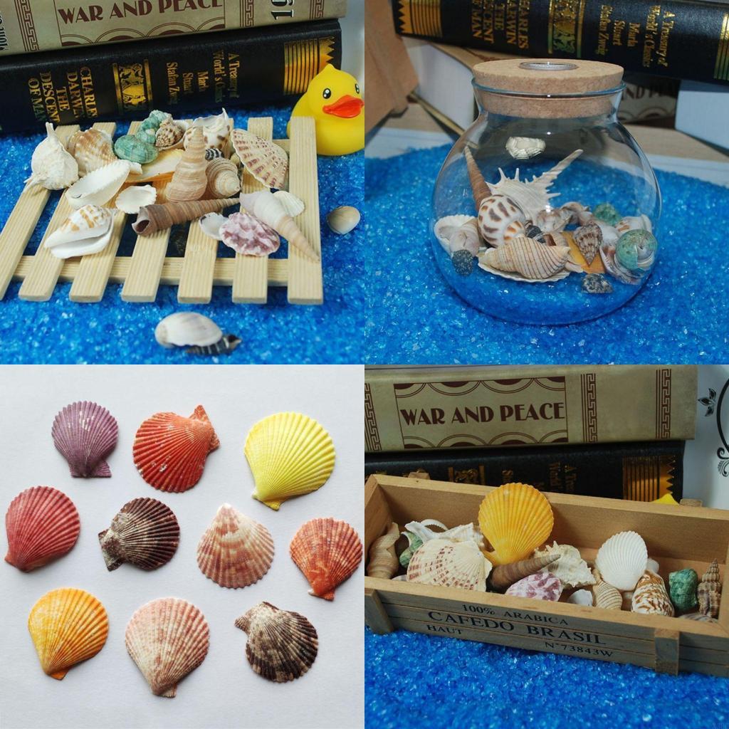 

120g Natural Seashell Sea Conch Hermit House Aquarium Practical for S X3UC China Mainland
