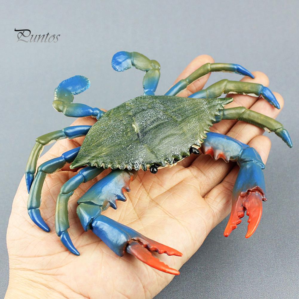 Puntos Kids Toy Simulation Hermit Crab Marine Animal PVC Model Desktop Decor Education
