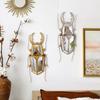 Golden Insect Mirror Insect Beetle Resin Handicraft Mirror Pendant Wall Decoration Mirror Wall Hanging Centipede Room Decor