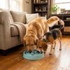 Slow Feeder Dog Bowl - Non-Slip Interactive Maze Bowl for Dogs & Cats, Prevents Bloat & Choking, Healthy Eating Design