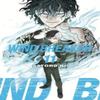 WIND BREAKER 11 by Satoru Nii Paperback Book 9781646519583