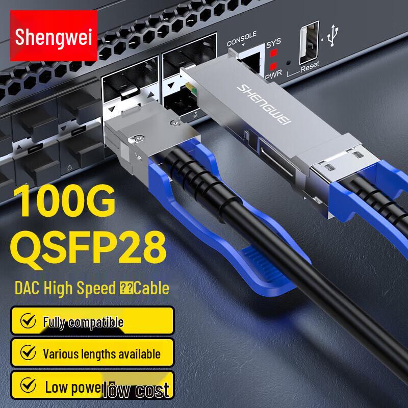 

Shengwei 100G QSFP28 Direct Attach Copper Cable 1 meter