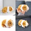 Lifelike Orange Guinea Pig Plush Toy For Children's Collection Gifts