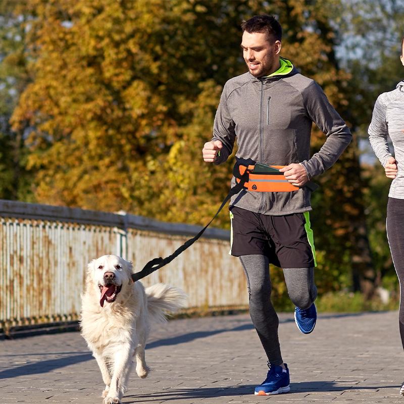 Outdoor Sport Pet Waist Bag Traction Rope Reflective Anti Explosion Pet Traction Rope Stretchable Elastic Belt For Dog Leash