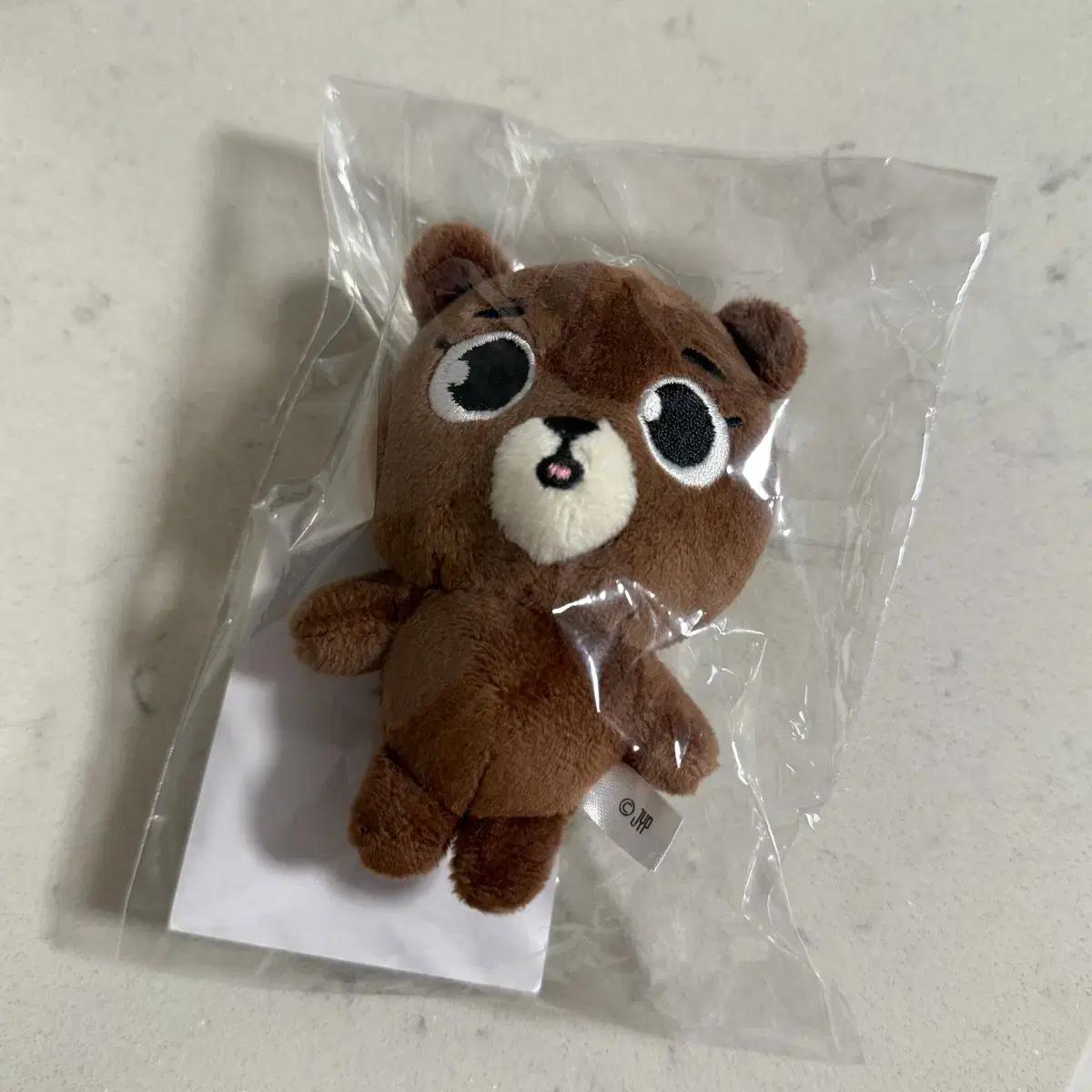 

DAY6 Япония Мд Бэкчам Комната