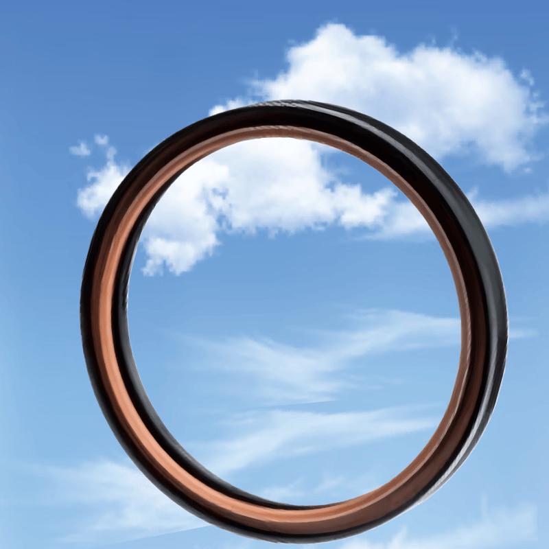 SHACMAN Rear Wheel Outer Oil Seal for SX2190