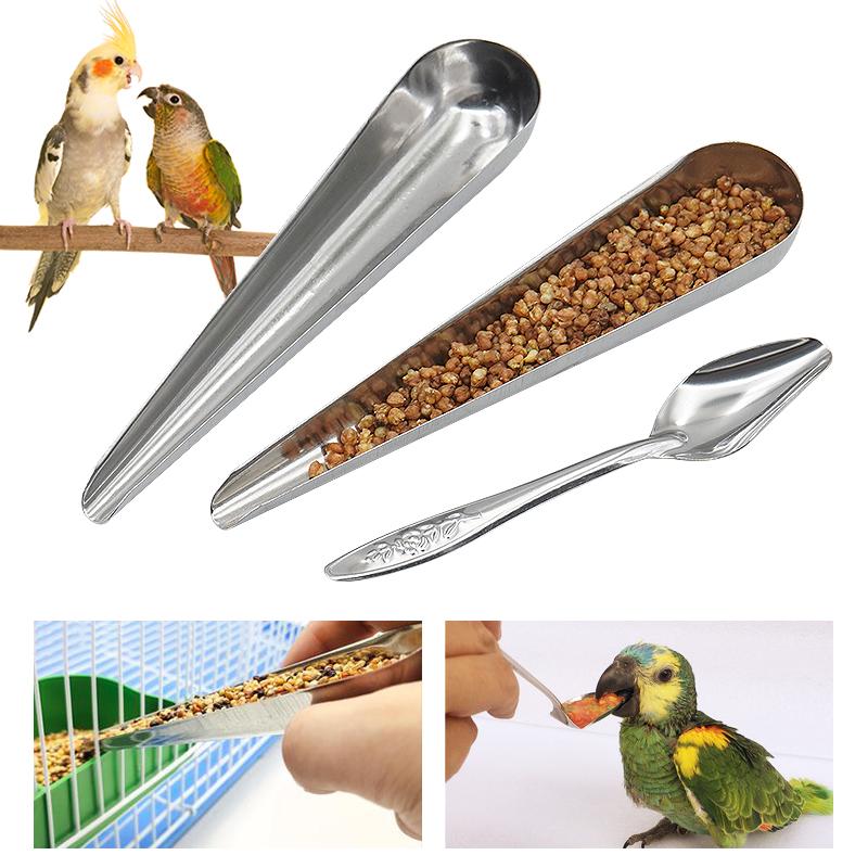 

Bird Feeding Spoon Pet Bird Parrot Bird Cage Add Food Spoon Stainless Steel Feede Bird Food Spoon Feeding Bird Supplies