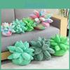 Cozy Plush Succulent Plant Stuff Toys Pillow For Adorable Home Decor And Gifts