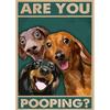 Animals Cat Dog Are You Pooping Funny Bathroom Sign Poster Print Canvas Painting Wall Art Picture for Toilet Home Bathroom Decor