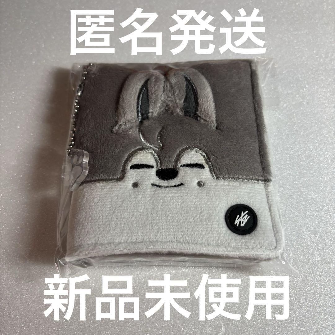 

[USED] Stray Kids Wolf Chan Bang Chan Photo Card Case