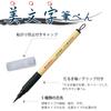 Ensemble de stylos pinceaux Kuretake pour une belle calligraphie - Pointe moyenne, Paquet de 2, XT5-10S/2P