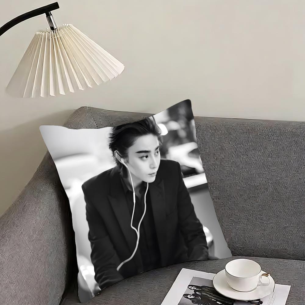 

Chinese actress Fan Bingbing Cushion Cover Reversible Plush Pillow Cover – For car, sofa, bedroom, perfect as a gift. 12x12Inch