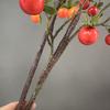 Konstgren med mini persimonblommor för heminredning