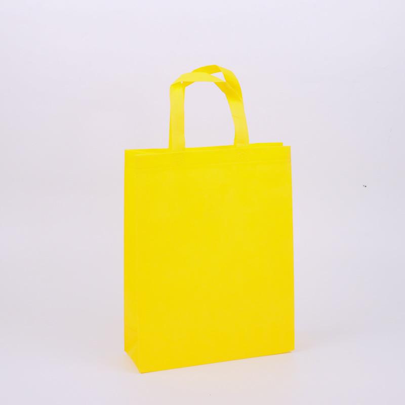 Eco-friendly High-end Non-woven Tote & Garment Bag
