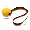 Brinquedo Frisbee Durável para Cães de Raças Grandes - Perfeito para Border Collies & Golden Retrievers