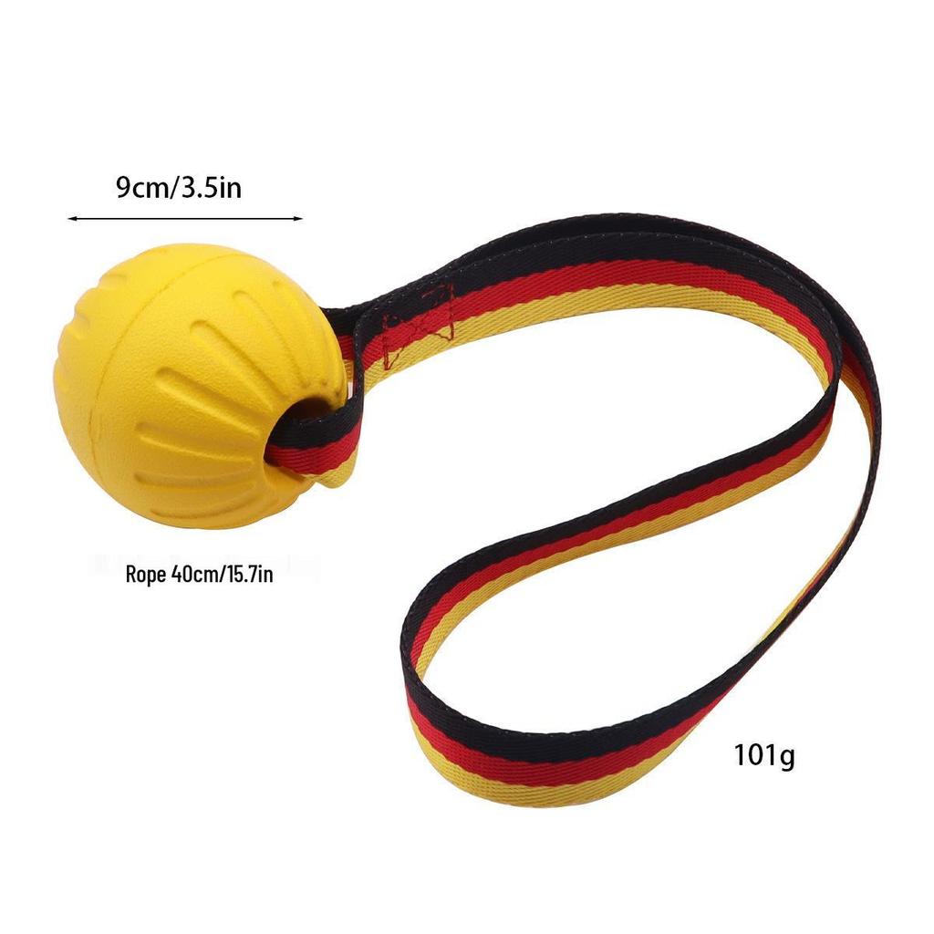 Brinquedo Frisbee Durável para Cães de Raças Grandes - Perfeito para Border Collies & Golden Retrievers