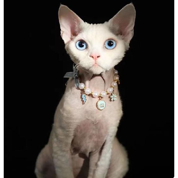 

Регулируемое ожерелье с бисером для собаки, ожерелье с кошачьим воротником, жемчужные костюмы, аксессуары для котенка, котенка, щенка, маленького размера