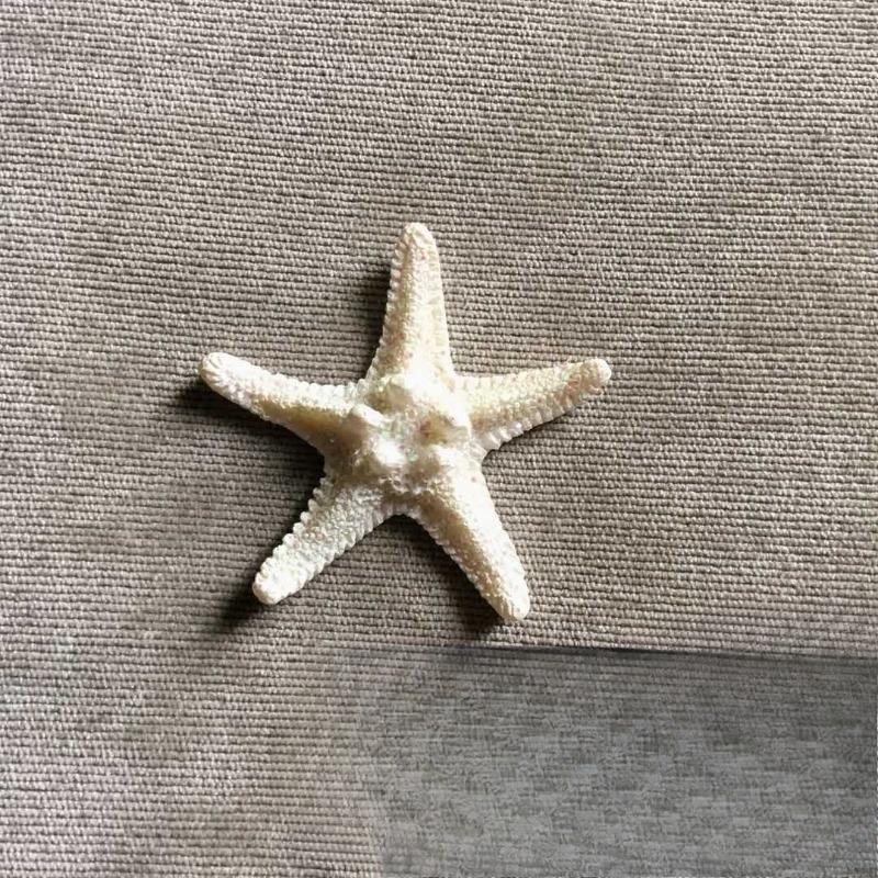 Stelle marine in resina Articoli decorativi per acquario in stile mediterraneo