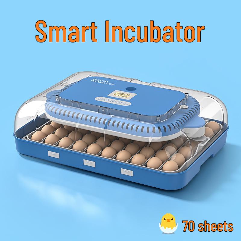 Smart Mini Egg Incubator for Parrots and Budgies: Automatic Pet Hatchery Equipment