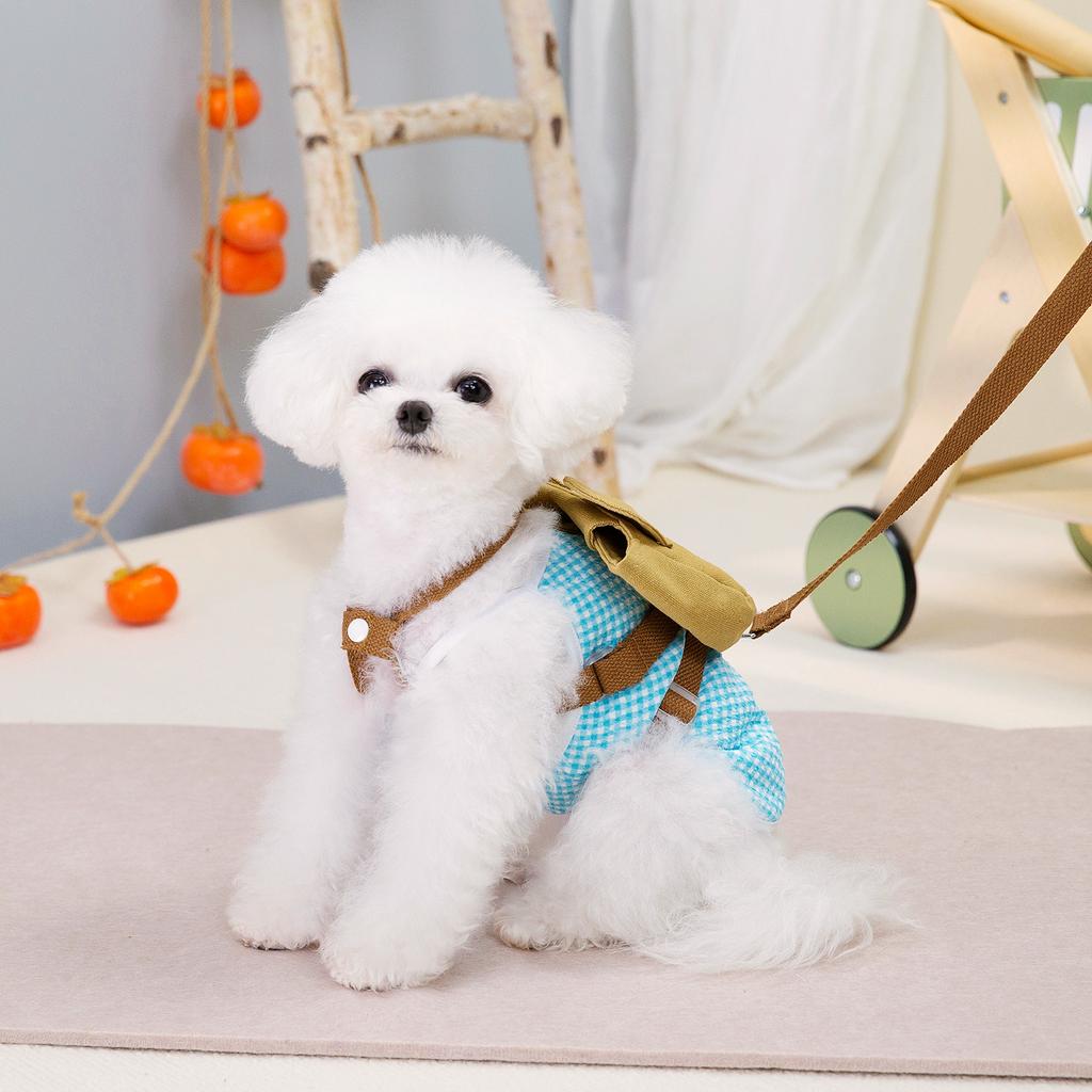 Pet Dog Clothing Traction Pet Chest Harness Supplies Spring and Summer New Bear Rabbit with Bag Chest Harness Rope