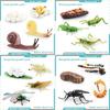 Insect Dragonflies Snails Life Cycle Model Pvc Educational Display For Science Learning