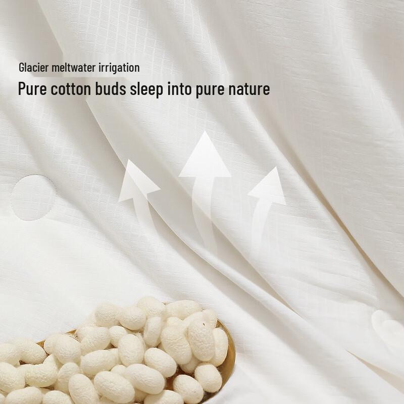 Mercury Home Textiles 100% Silk Four Seasons Duvet