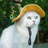 Dog Sunhats Cap Adjustable Dog Fisherman Hat Soft Breathable Cat Sunscreen Hat with Ear Holes Dogs Bucket Hat Hiking