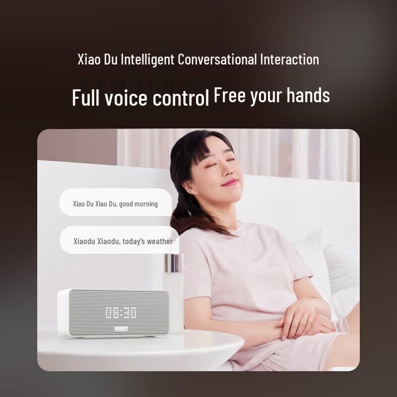 XiaoDu Smart AI Bluetooth Speaker CN plug (adapter included) (CN version)